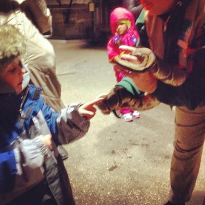 Im Schlangenhaus durfte man ein paar Tiere anfassen. Adrien ist die Sache aber nicht ganz geheuer // At the snake house of the zoo you were allowed to touch some of the animals. Adrien is not quite sure if he likes it, though